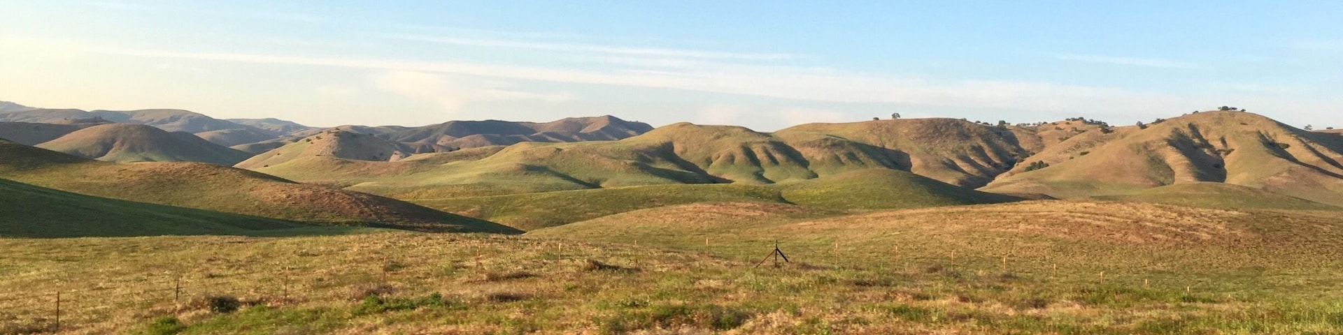 Rolling hills on route to Paso Robles.
#california
(April 2017)