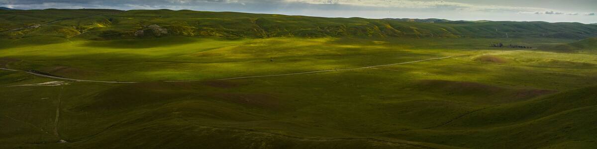 APRIL 2023, SHANDON, CA. - rolling green spring hills in the County of San Luis Obisbo, California at sunrise with morning fog