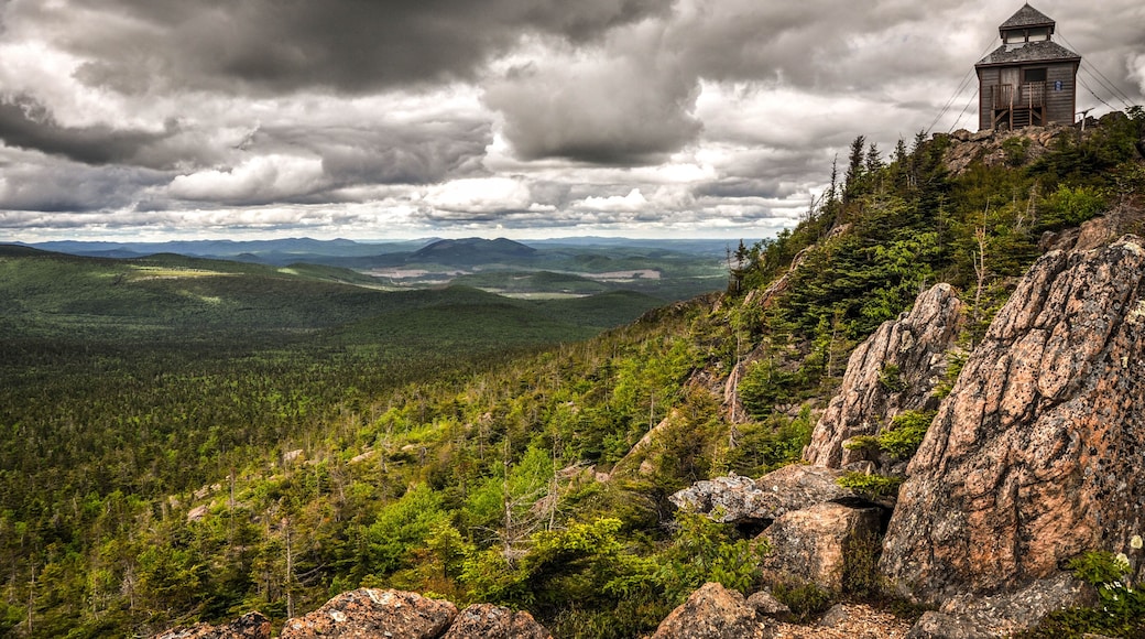 Công viên Tỉnh bang Núi Carleton