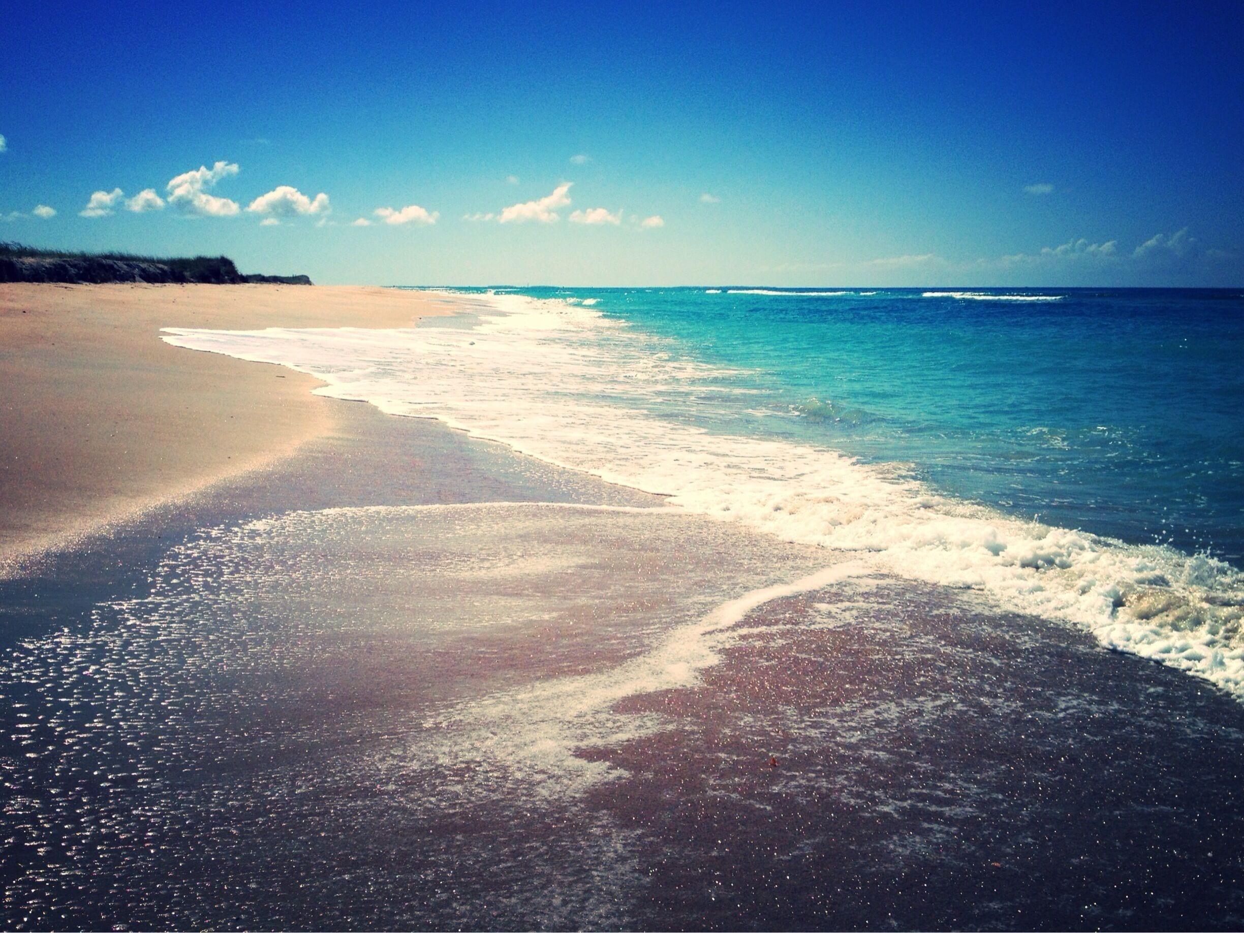 A morning ferry ride to this island and some walking led us to a deserted beach on North Carolina’s Outer Banks.
