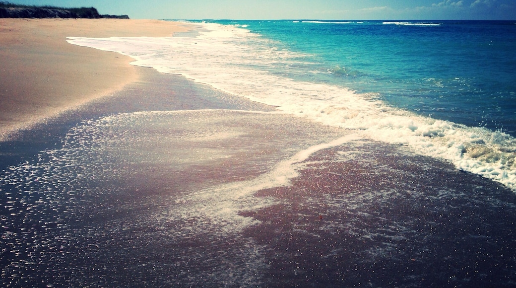 A morning ferry ride to this island and some walking led us to a deserted beach on North Carolina’s Outer Banks.