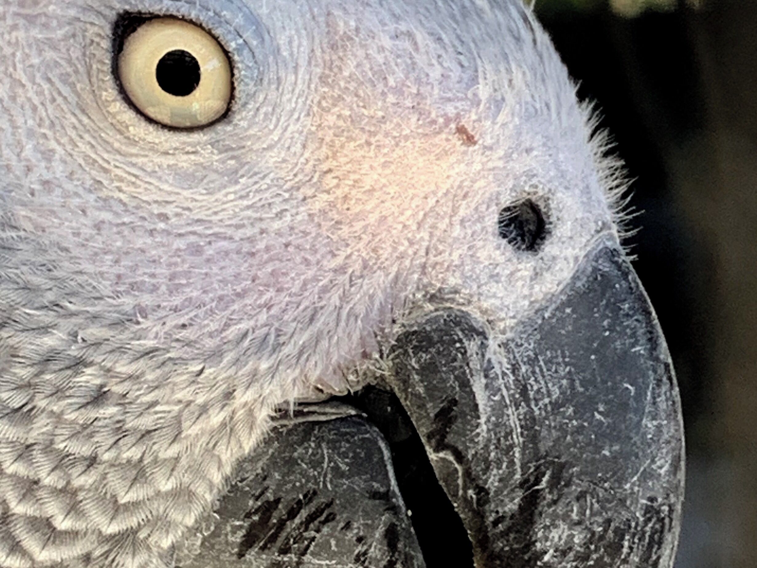 Truly a wonderful with so much to see!