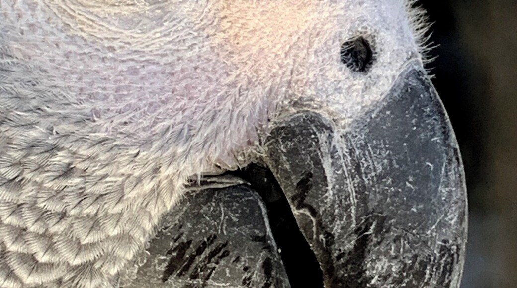 Truly a wonderful with so much to see!