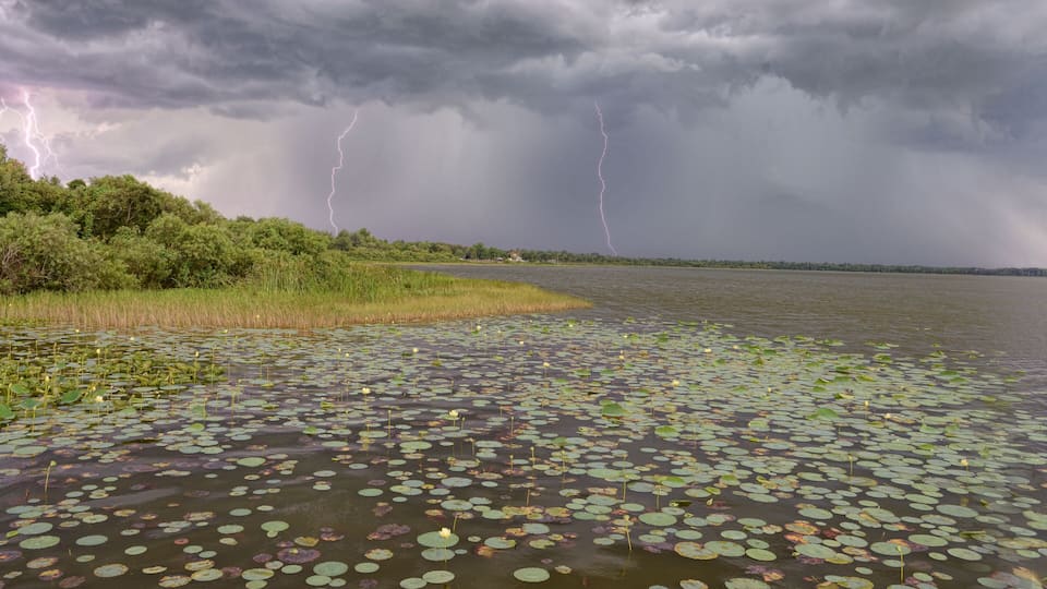 A lake with lily pads and a stormy sky with lightning.
