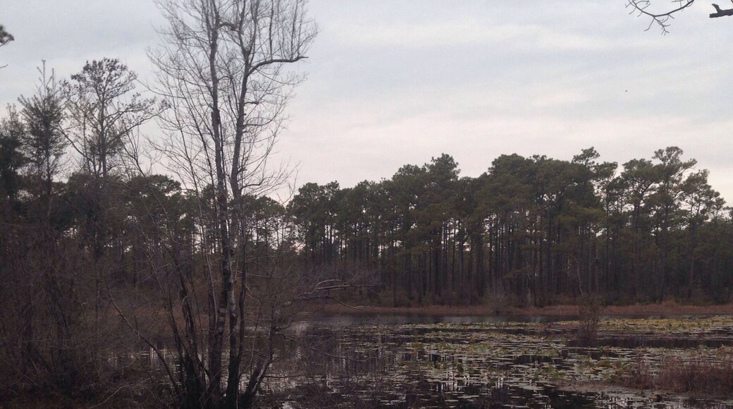 One of the ponds along the short trails there. The entrance to this one is a little inconspicuous, but it's a nice short walk. Wear orange during hunting season!