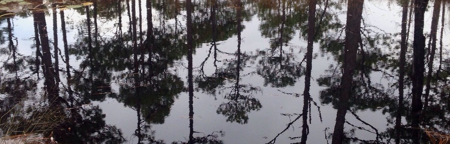 Bob's sinkhole at Croatan. There's an interesting explanation to this natural phenomenon there too.