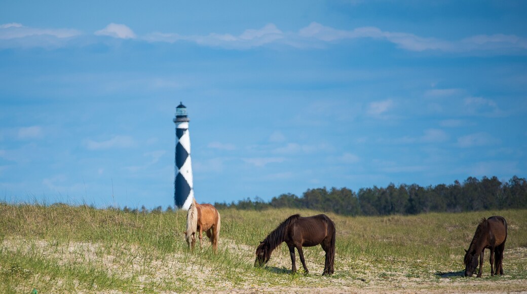 Cape Lookout and Shackleford Banks