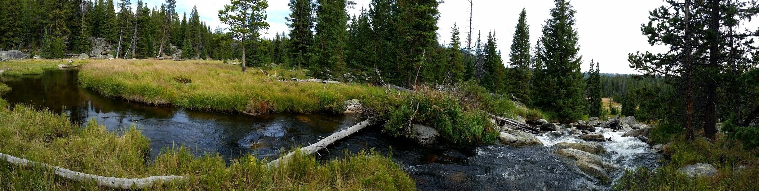 Came across this small waterfall while hiking the Cloud Peak Wilderness area.