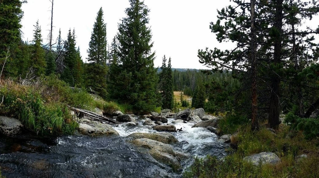Came across this small waterfall while hiking the Cloud Peak Wilderness area.