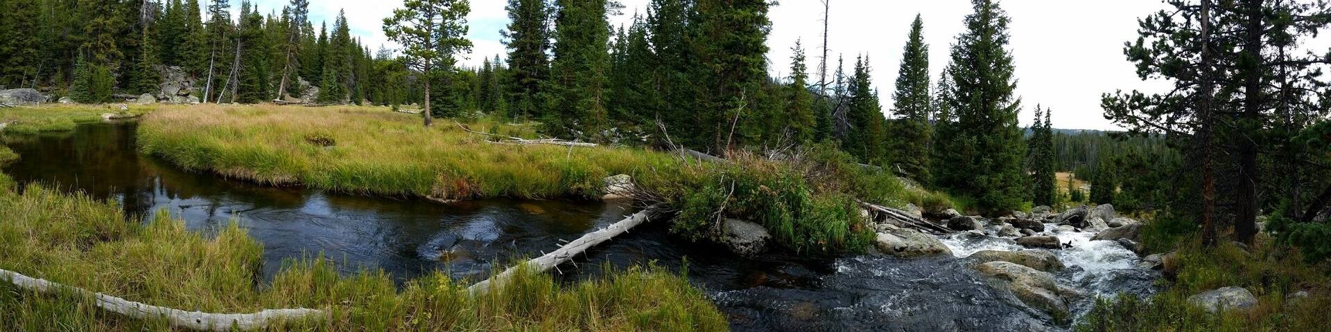 A river flowing through a forested area with a small pond and rocky terrain.