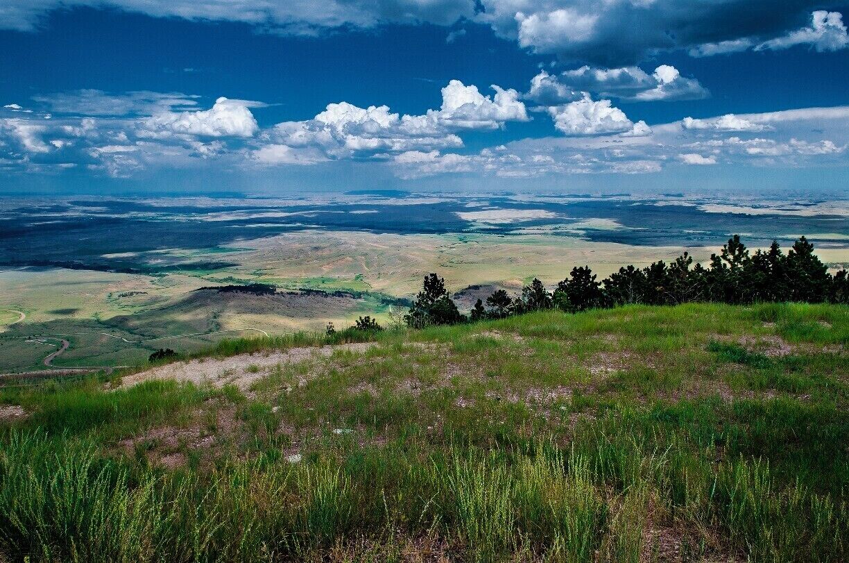 Driving across Wyoming from Yellowstone  on way to Mount Rushmore in South Dakota, we came across this site. 

Coming down over a mountain rise was this magnificent vista before us, the Bighorn National Forest. We could seed well over 100 miles. We could see so far in fact, that we could not tell where exactly the land met the sky; they look like they just melt into one another.