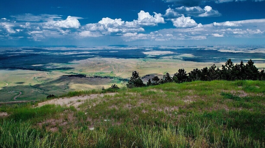 Driving across Wyoming from Yellowstone on way to Mount Rushmore in South Dakota, we came across this site.
Coming down over a mountain rise was this magnificent vista before us, the Bighorn National Forest. We could seed well over 100 miles. We could see so far in fact, that we could not tell where exactly the land met the sky; they look like they just melt into one another.