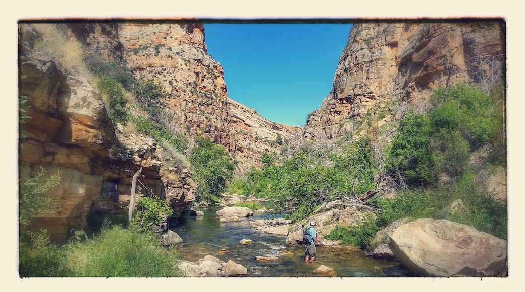 Fall fly fishing for Rainbows.