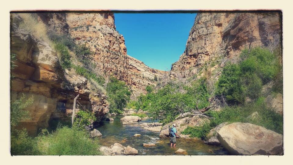 A canyon with a river, rocky cliffs, and greenery.