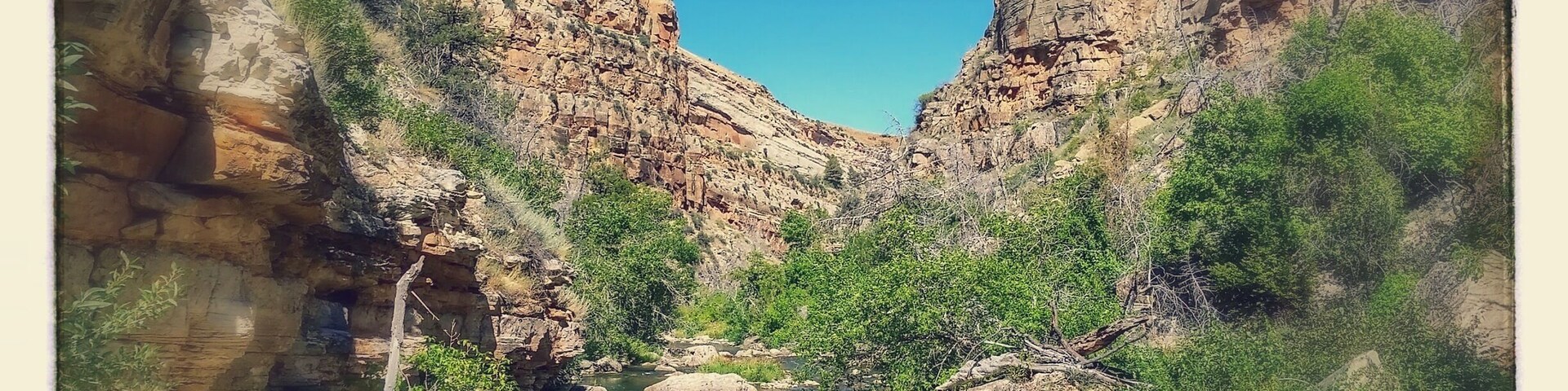 Fall fly fishing for Rainbows.
