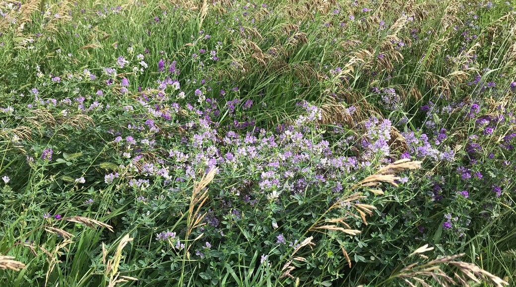 Nature at its best 🙂