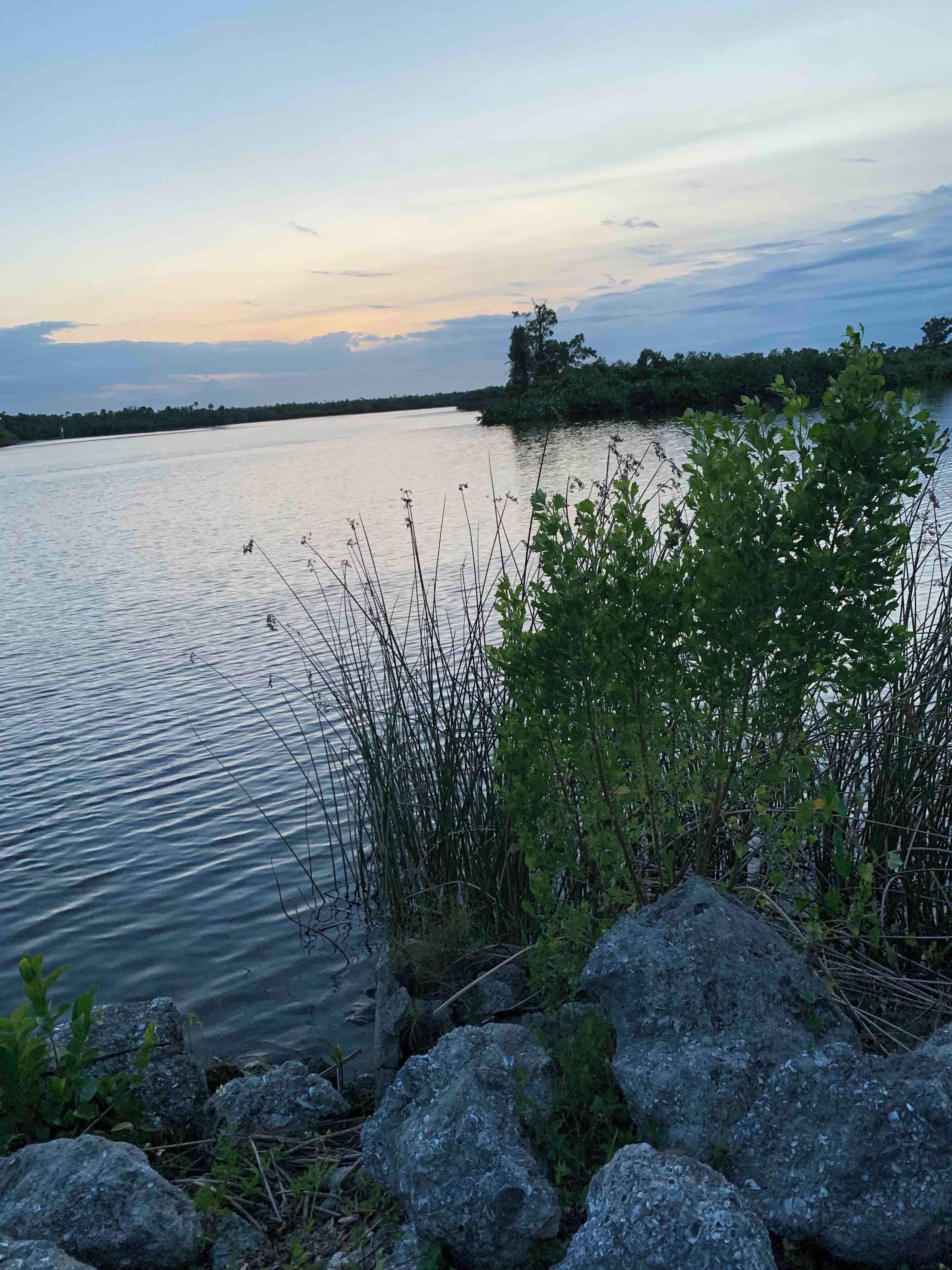 This is the Peace River located in Arcadia Florida. Good for kayaking, fishing and beautiful sunsets. #Waterlust