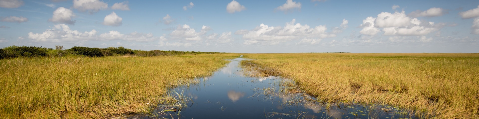 Wetlands in Florida Everglades
