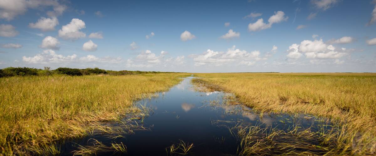 A narrow water channel in a grassy field with a clear sky.