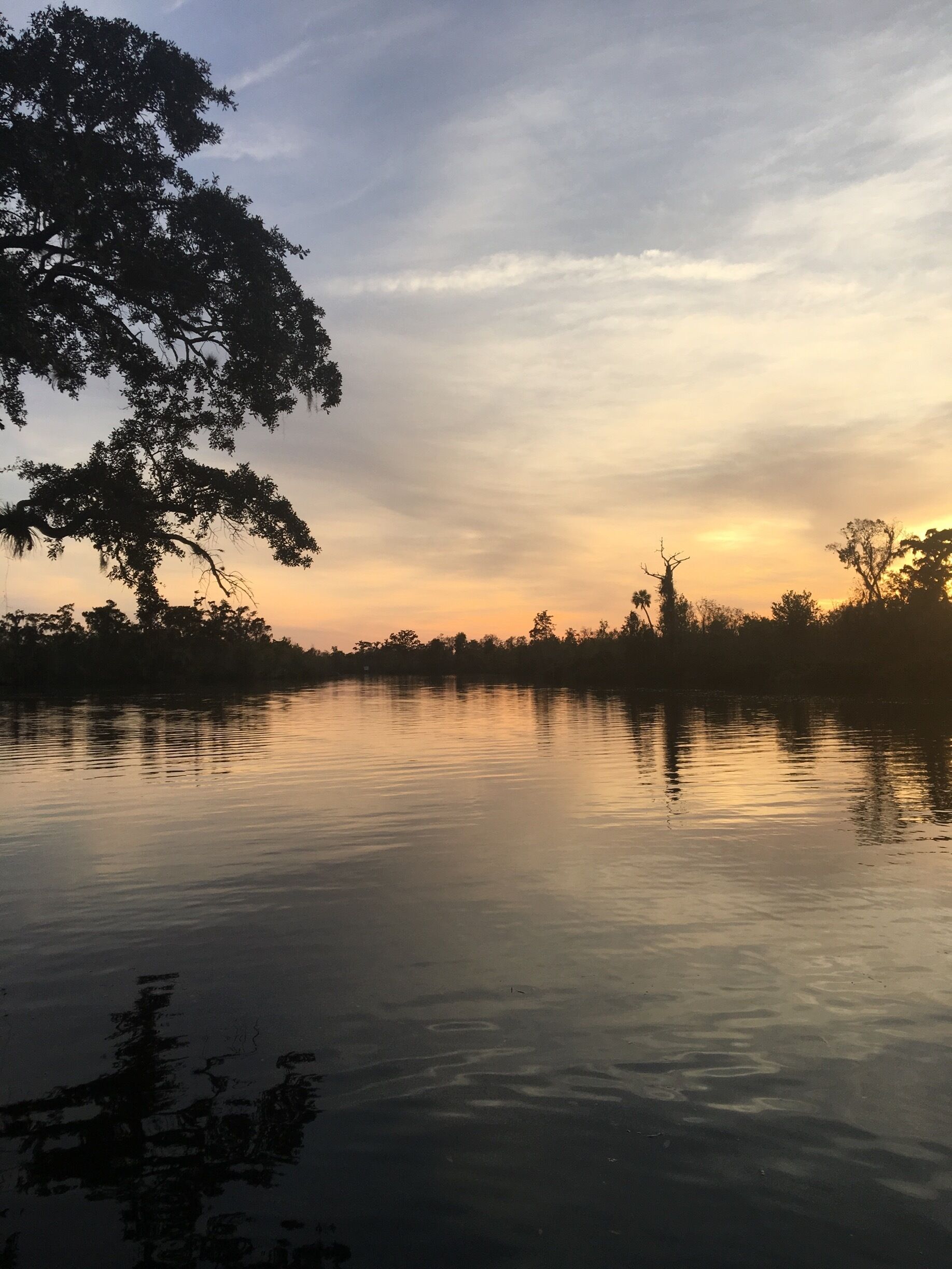 Lettuce Lake in Arcadia Florida. Beautiful place to kayak or canoe. 
#Waterlust
#TroveronTuesday