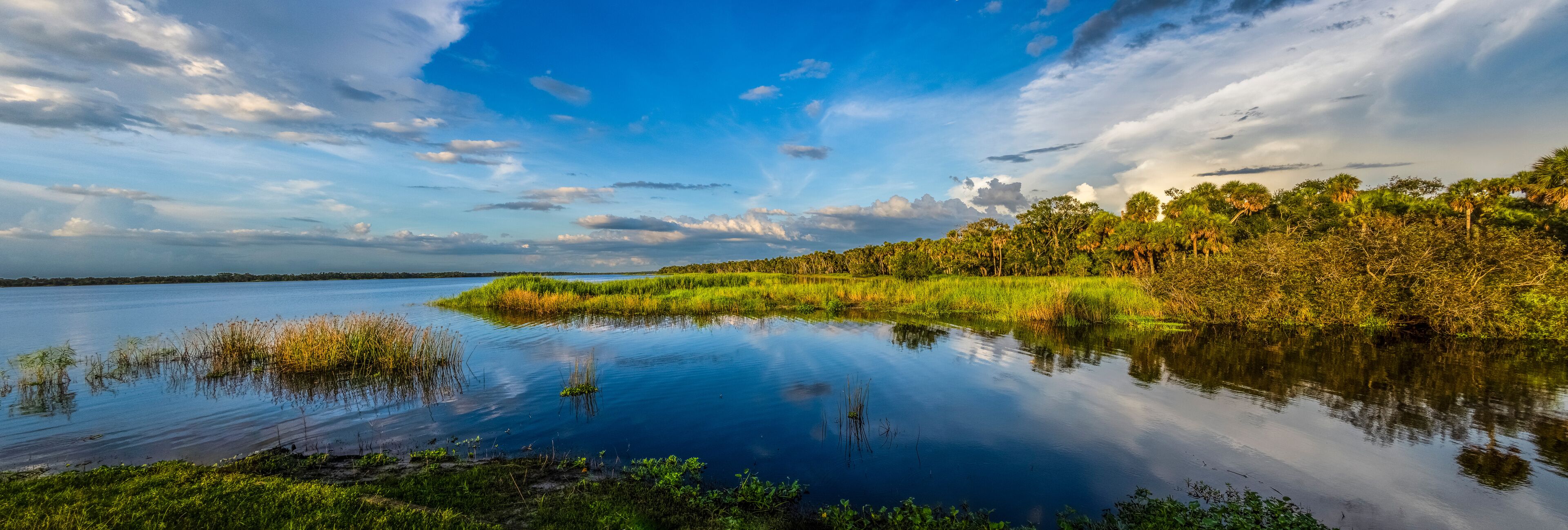 Upper Myakka Lake in late afternoon light in Myakka River State Park in Sarasota Floirida USA
