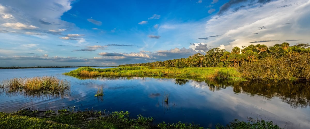 Upper Myakka Lake in late afternoon light in Myakka River State Park in Sarasota Floirida USA