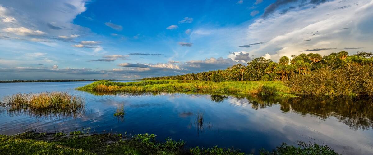 A calm lake with grassy banks and trees reflecting the sky.