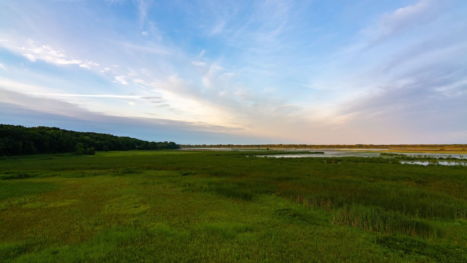 Sunrise at Dixon Waterfowl Refuge
