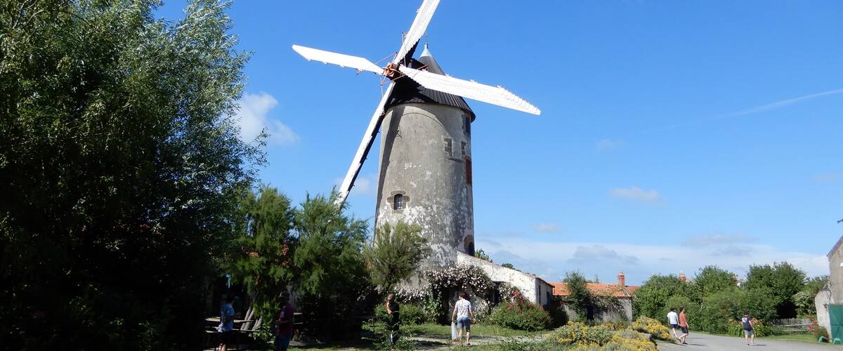A windmill with a large white sail, surrounded by greenery and a clear blue sky.