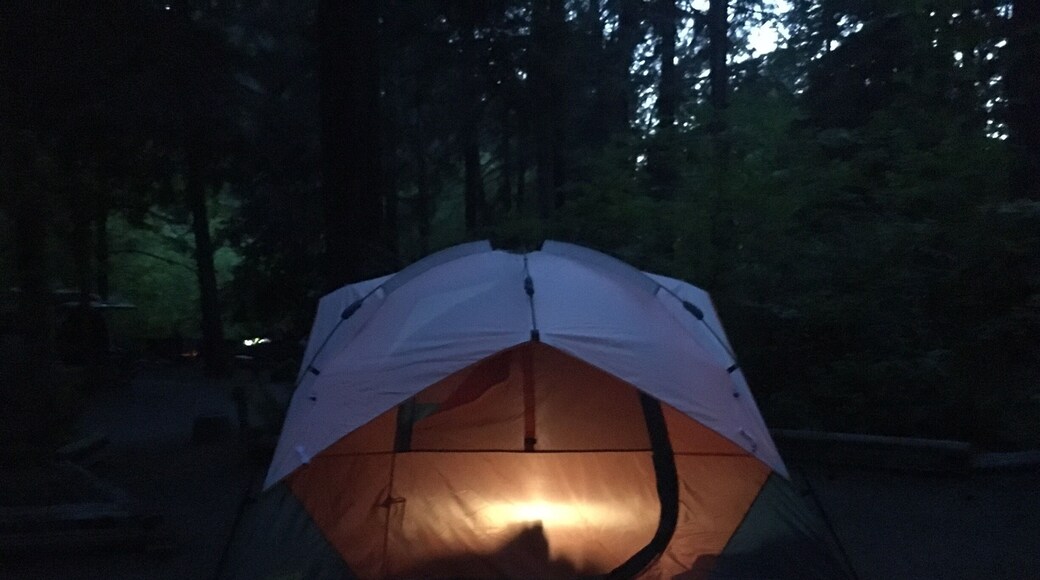 Great campsite! We will definitely be back. Several trails from site lead to the river. Site numbers 3-5 (maybe more) look right out on to the river. Dog friendly, sell firewood on site ($6) they have showers and clean, nice (for a campsite) bathrooms. Good size sites. $20 a night. Very close to Susan Creek falls and Fall Creek Falls. #camp #tent #summerfun #familyfun #dogfriendly #trails #river #mountainside #coleman #kidfun #adventure #explore #outdoor