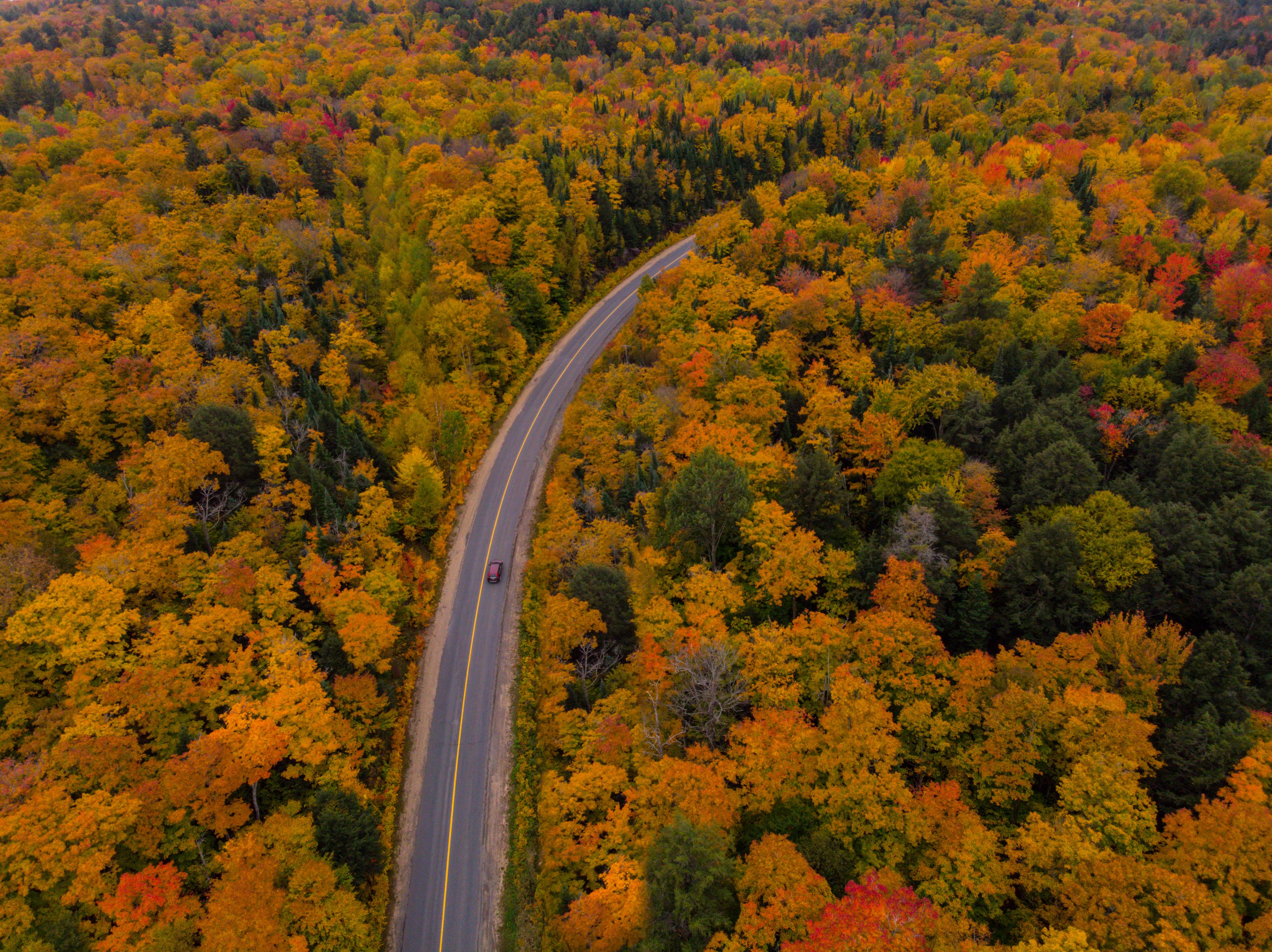 An aerial view of a winding road through a dense forest with autumn foliage.