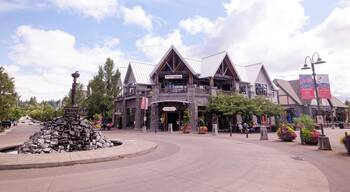 EyeEm Custom Shoots Q4 2018