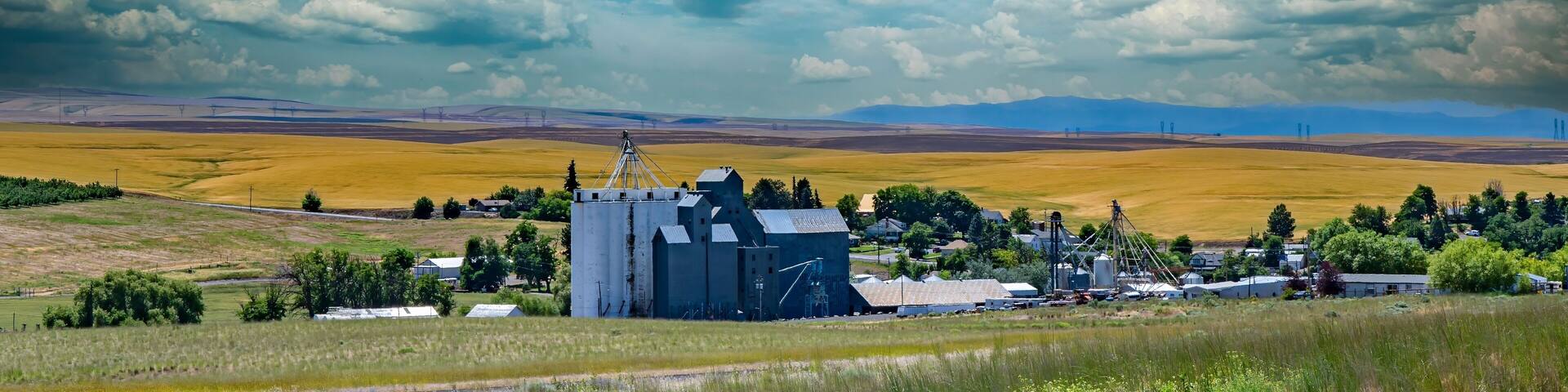 A grain elevator in the town of Wasco, in eastern Oregon. Golden wheat fields in background