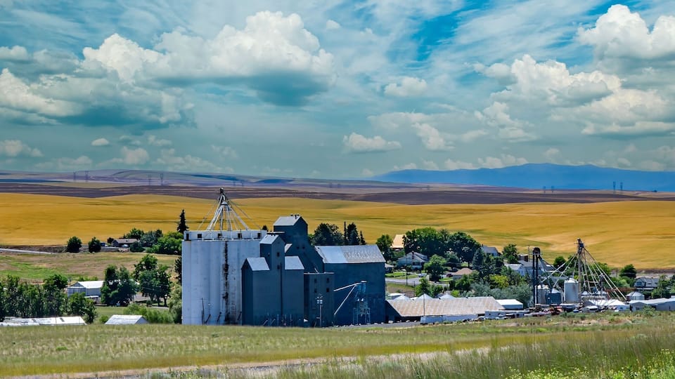 A rural landscape with a grain silo, fields, and a small town.
