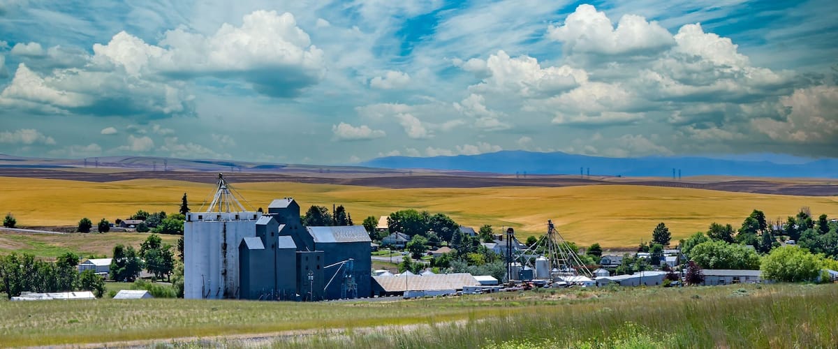 A rural landscape with a grain silo, fields, and a small town.