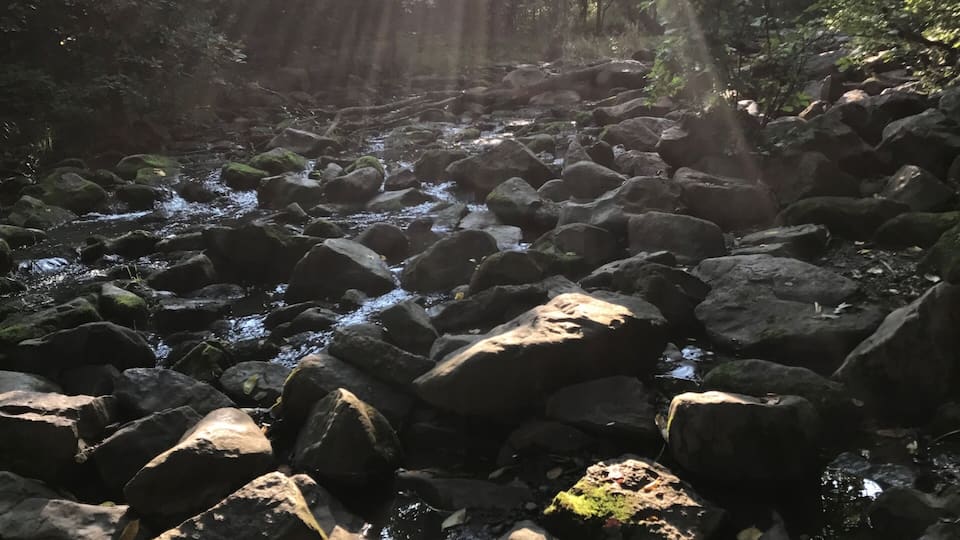 A rocky stream with sunlight filtering through trees.