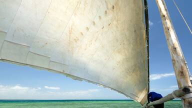Dhow, Pangani, near Tanga, Tanzania
