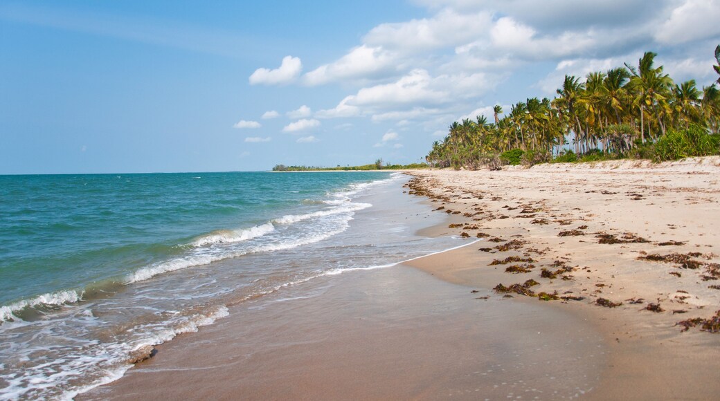 beach on the indian ocean in africa