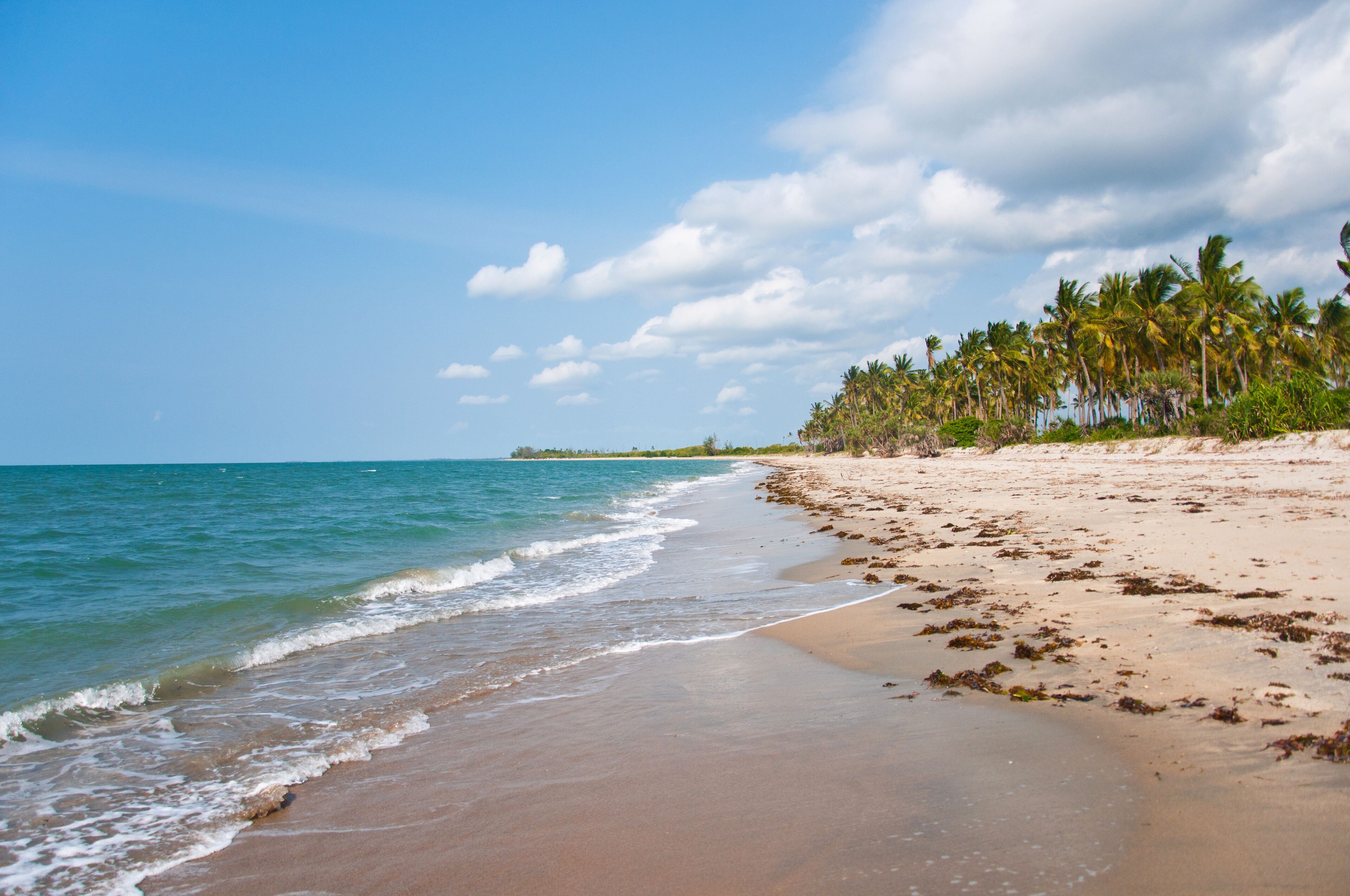 A beach with clear blue water, sandy shore, and palm trees.