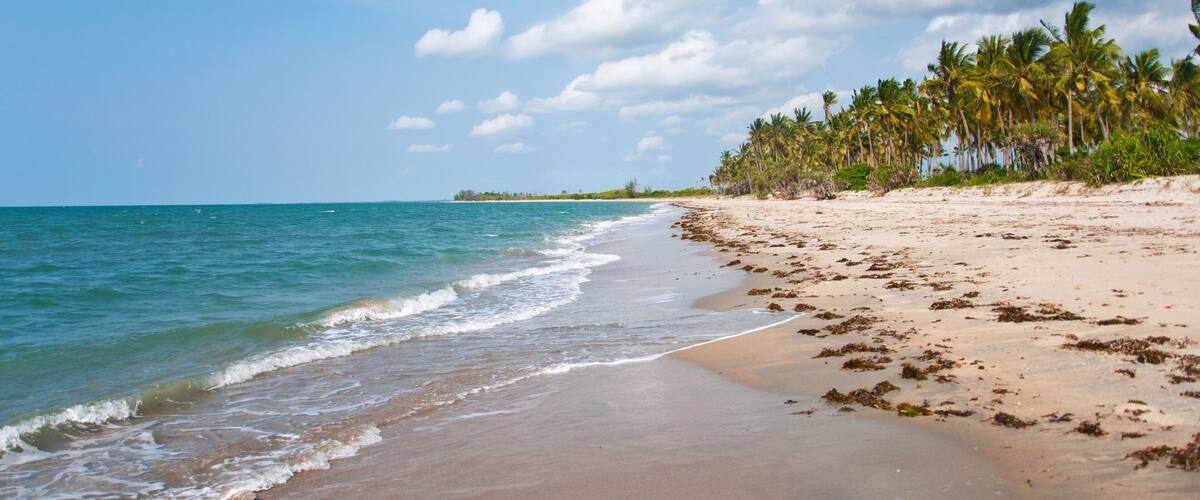 A beach with clear blue water, sandy shore, and palm trees.