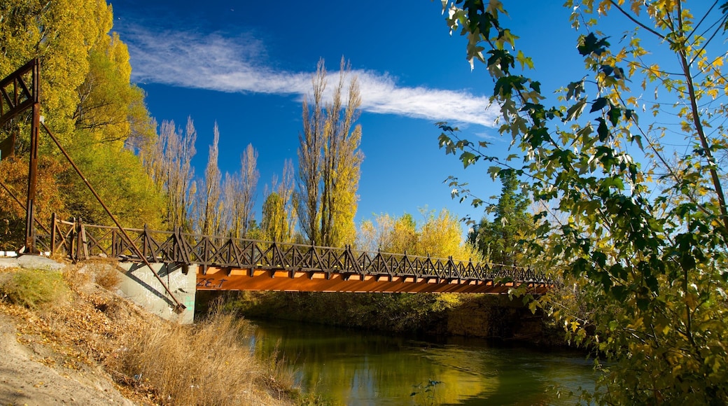 Puerto Madryn which includes a river or creek and a bridge