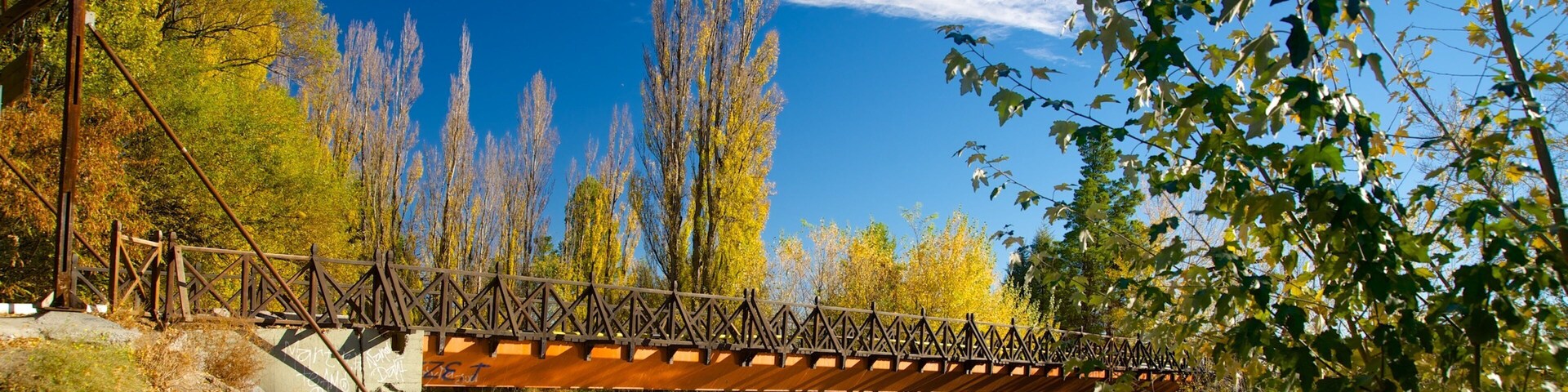 A metal bridge over a calm river, surrounded by autumn trees and a clear blue sky.