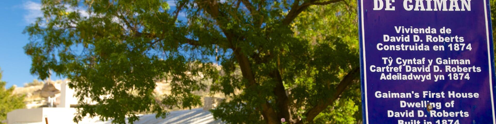 Puerto Madryn featuring signage