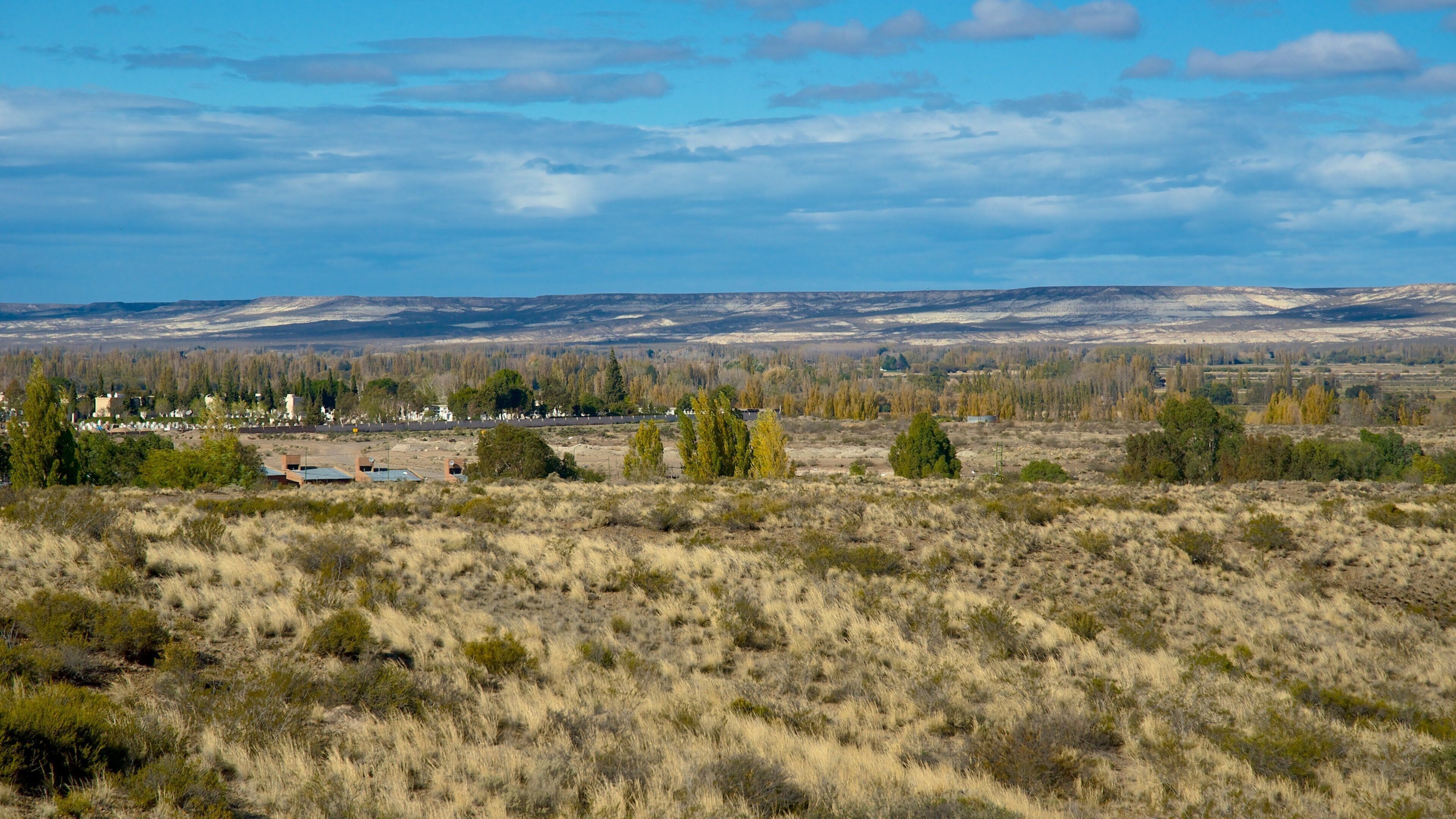 Puerto Madryn which includes tranquil scenes