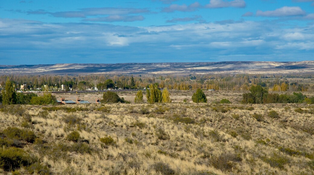 Puerto Madryn which includes tranquil scenes