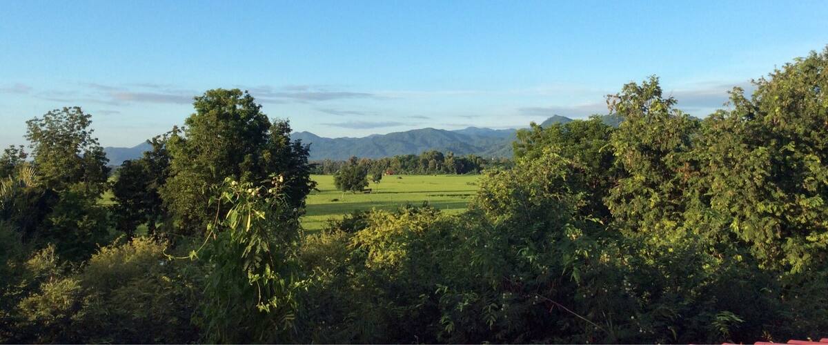 A lush green landscape with a clear blue sky, rolling hills, and dense foliage in the foreground.
