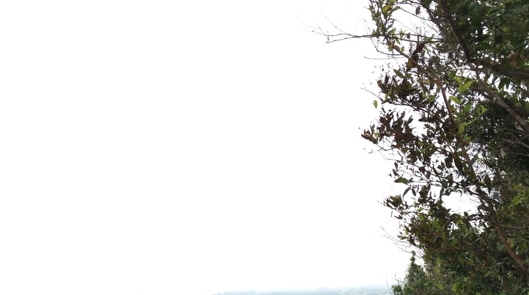 Take a short hike up this hill and be rewarded with great coastline view.