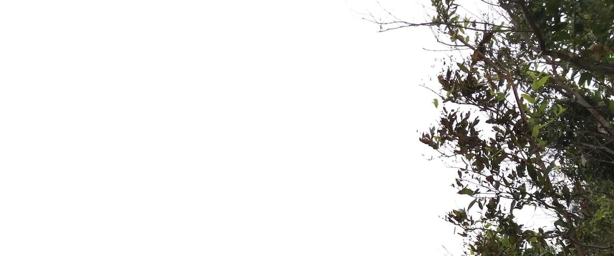 Take a short hike up this hill and be rewarded with great coastline view.