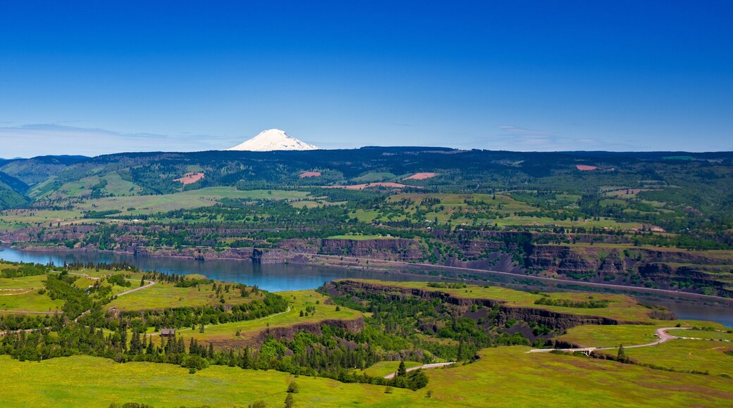Mt. Adams looks down on the Columbia River Gorge