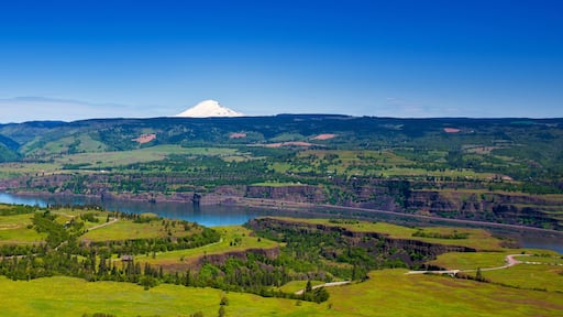 Mt. Adams looks down on the Columbia River Gorge
